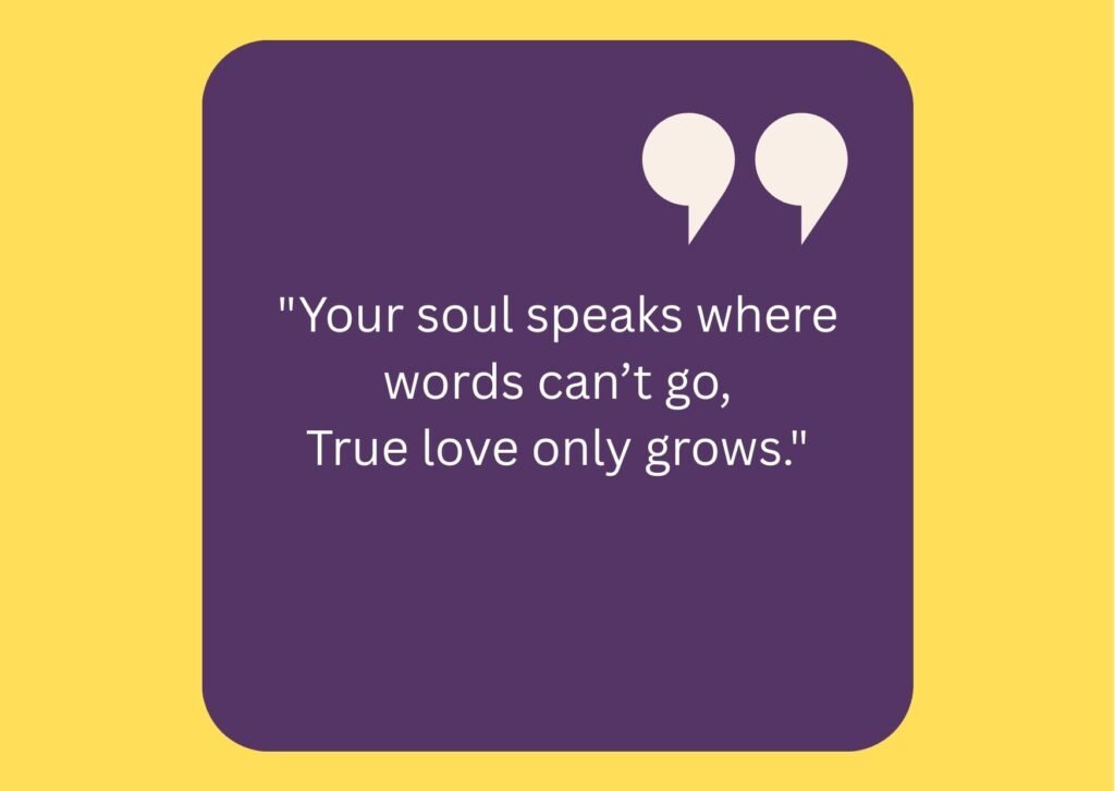 true love love shayari in english